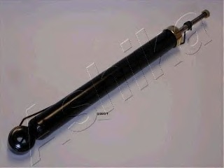 Amortizor