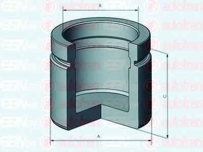 Piston