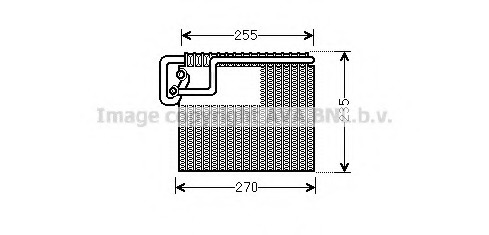 Evaporator