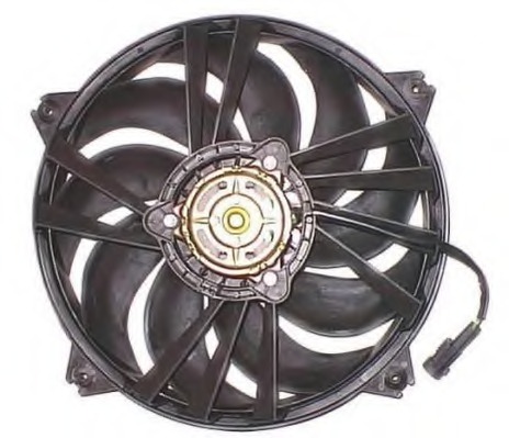 Racire