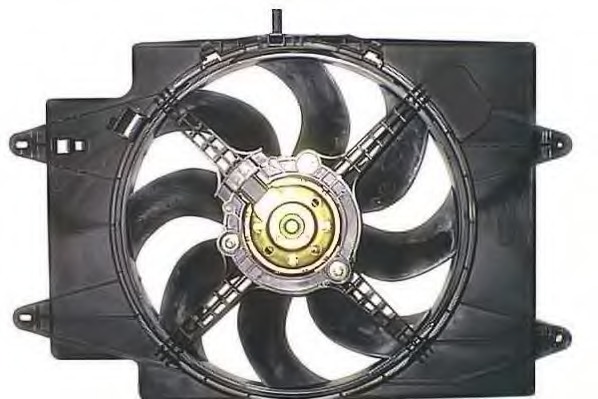 Racire