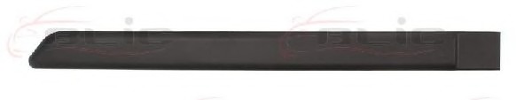 Elemente decorative/protectie, aripa