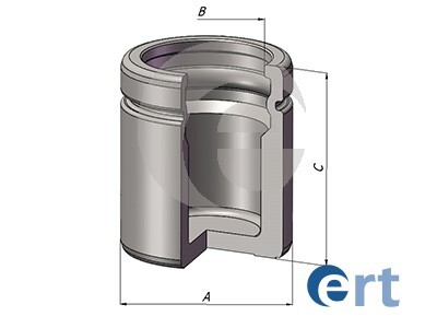 Piston