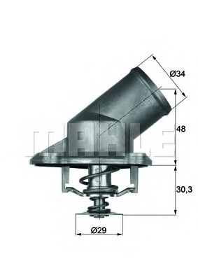 Termostat,lichid racire