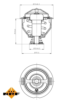 Termostat lichid racire