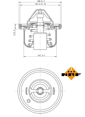 Termostat lichid racire