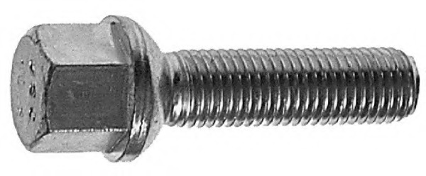Bolt roata
