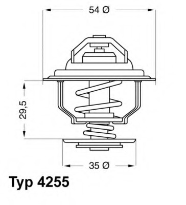 Termostat